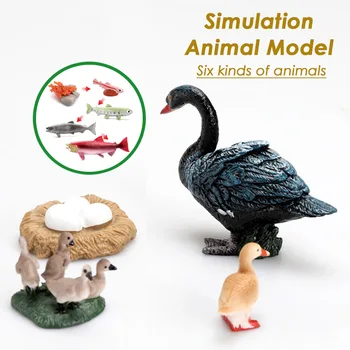 Имитационная модель животного для детей Цикл роста Животное Твердый винил Ранние развивающие игрушки Набор когнитивных моделей Игрушки Модель организма